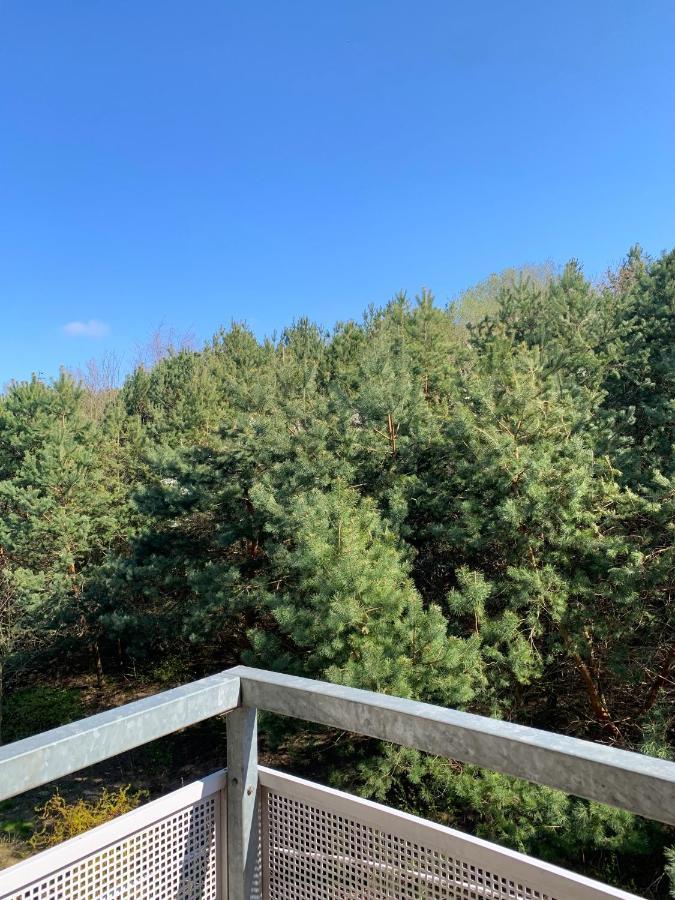 Baltic Olive Apartment グダニスク エクステリア 写真